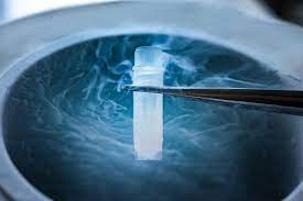 Liquid Nitrogen Gas